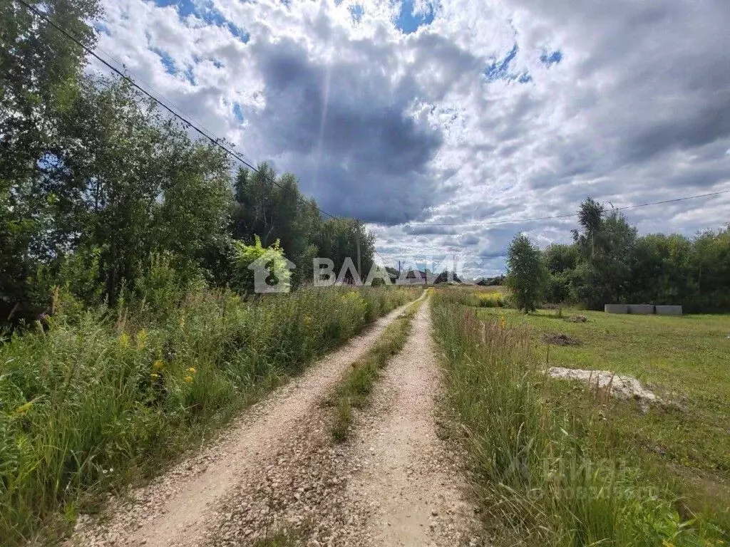 Участок в Нижегородская область, Богородский муниципальный округ, д. ... - Фото 1