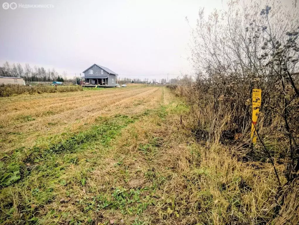 Участок в Ярославский муниципальный округ, деревня Пестрецово (15 м) - Фото 2