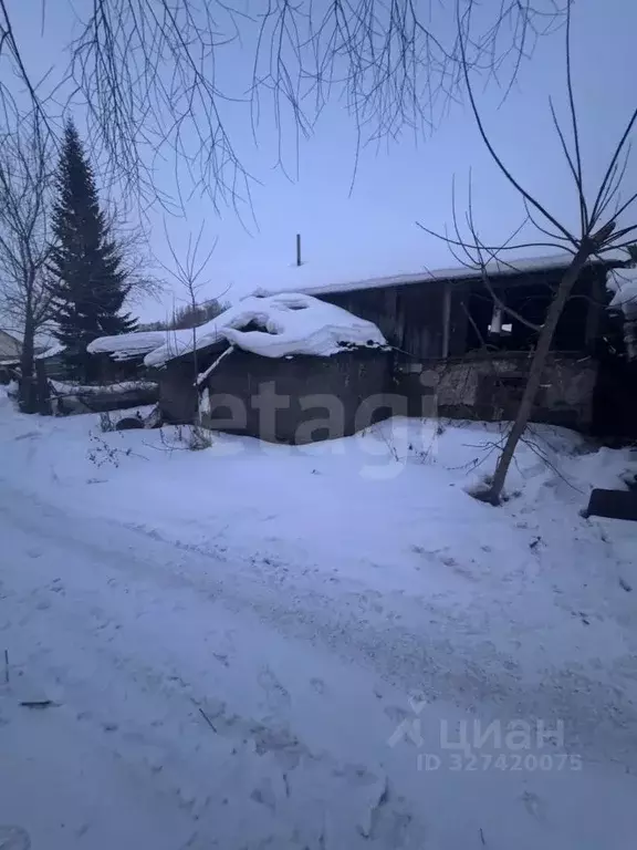 Участок в Алтай, Горно-Алтайск ул. Петра Сухова, 60 (4.82 сот.) - Фото 1