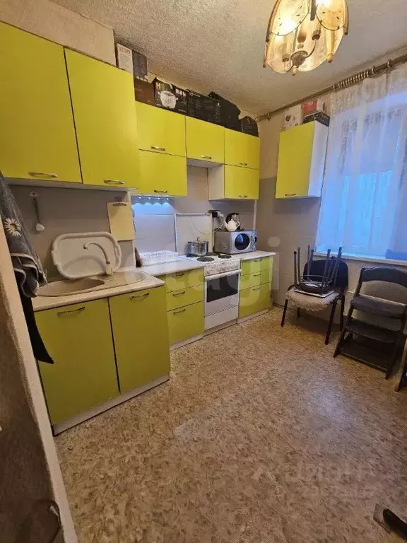 2-к кв. Ямало-Ненецкий АО, Муравленко ул. Ленина, 129 (51.9 м) - Фото 2