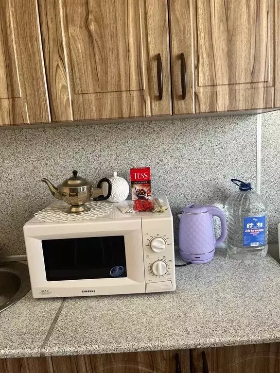 1-к кв. Самарская область, Волжский район, Лопатино с/пос, пос. ... - Фото 2