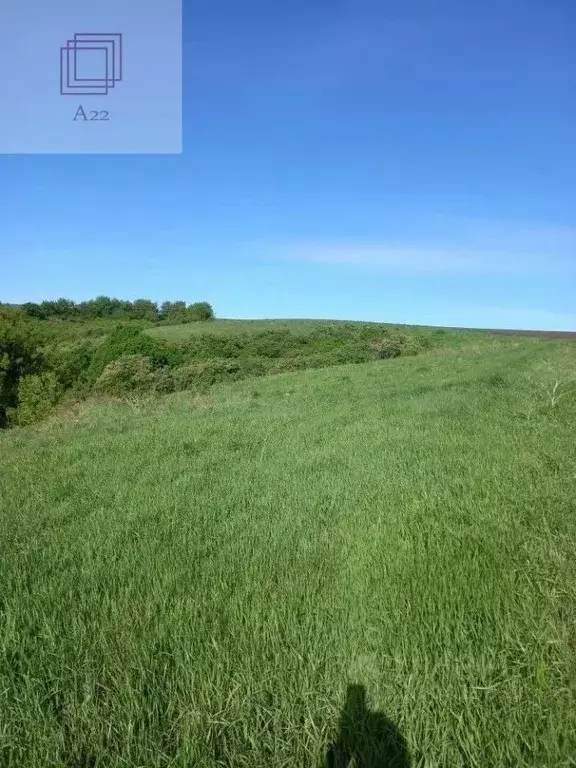 Участок в Алтайский край, Краснощековский район, Усть-Козлухинский ... - Фото 2