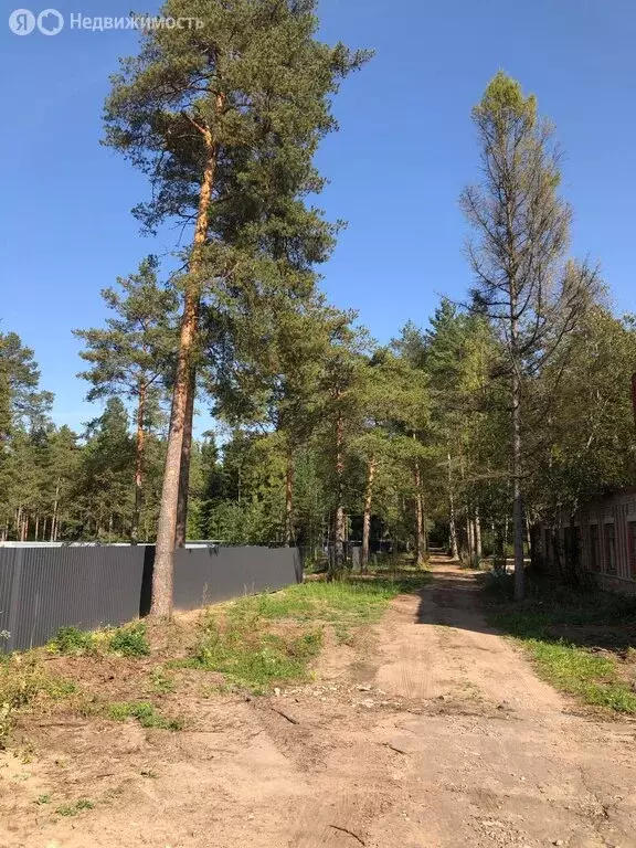 Участок в Луга, Большая Заречная улица, 1/5А (16.5 м) - Фото 2