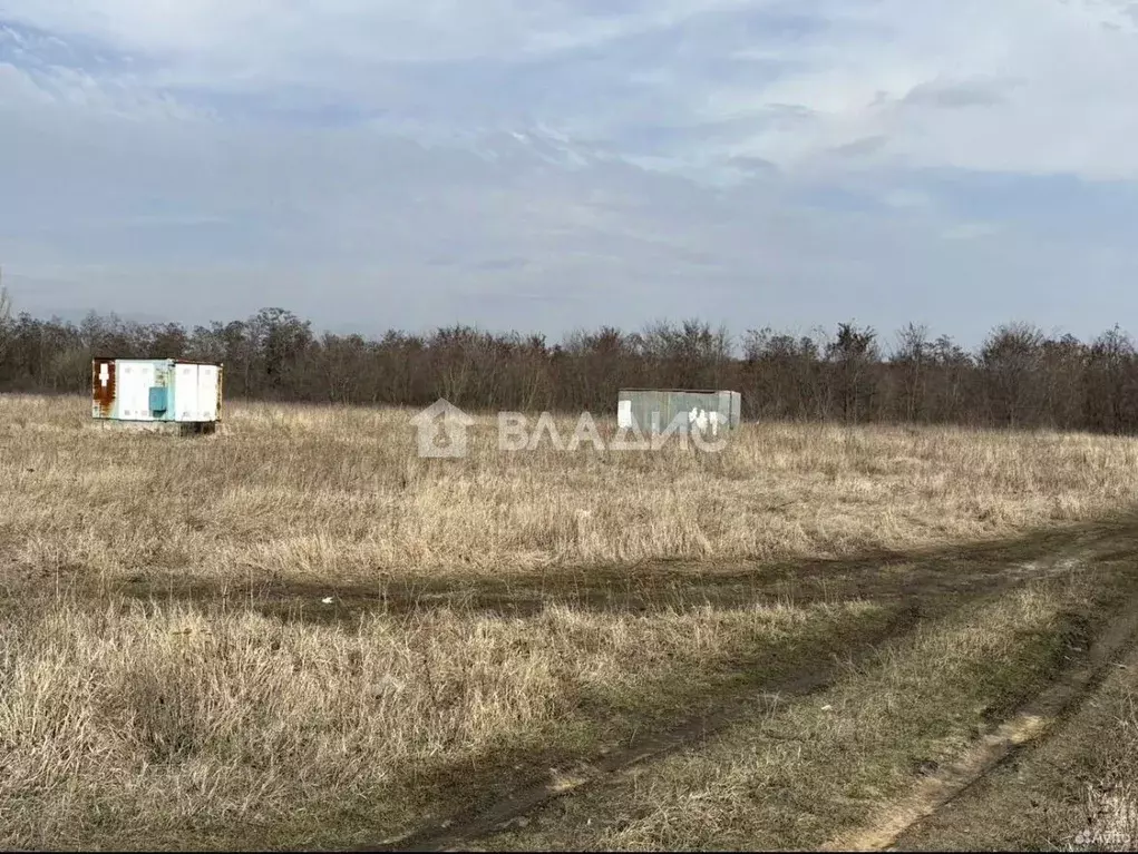 Участок в Белгородская область, Белгородский район, Разумное рп ул. ... - Фото 1