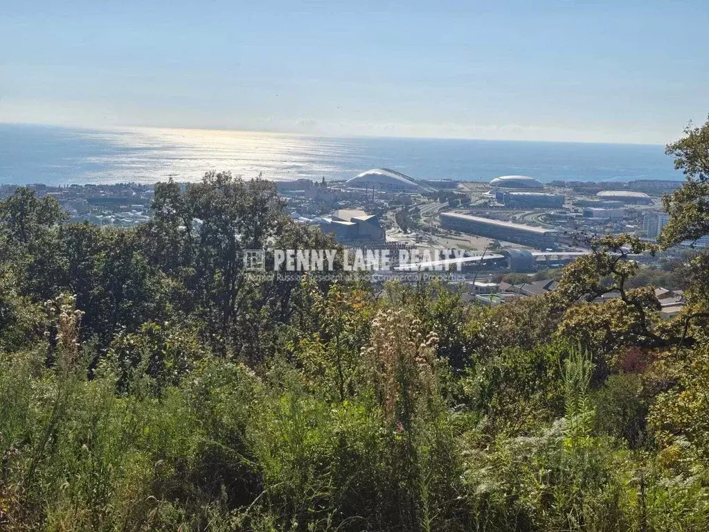 Участок в Краснодарский край, Сочи ул. Ворошиловградская (35.0 сот.) - Фото 2