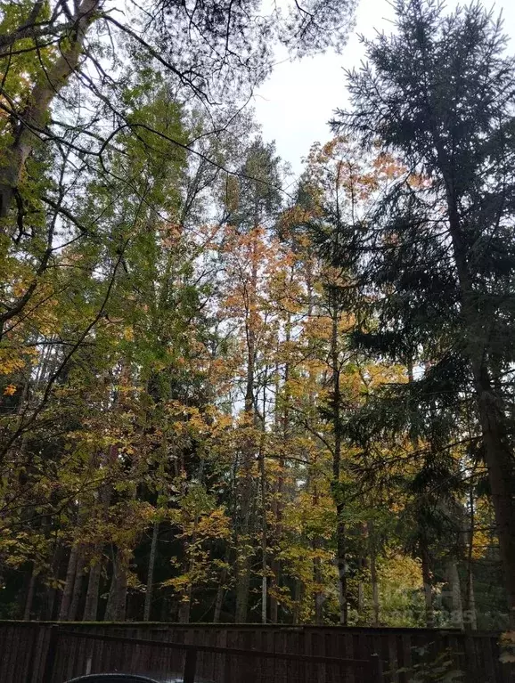 Дом в Санкт-Петербург пос. Ушково, ул. Рифеевская (100 м) - Фото 1