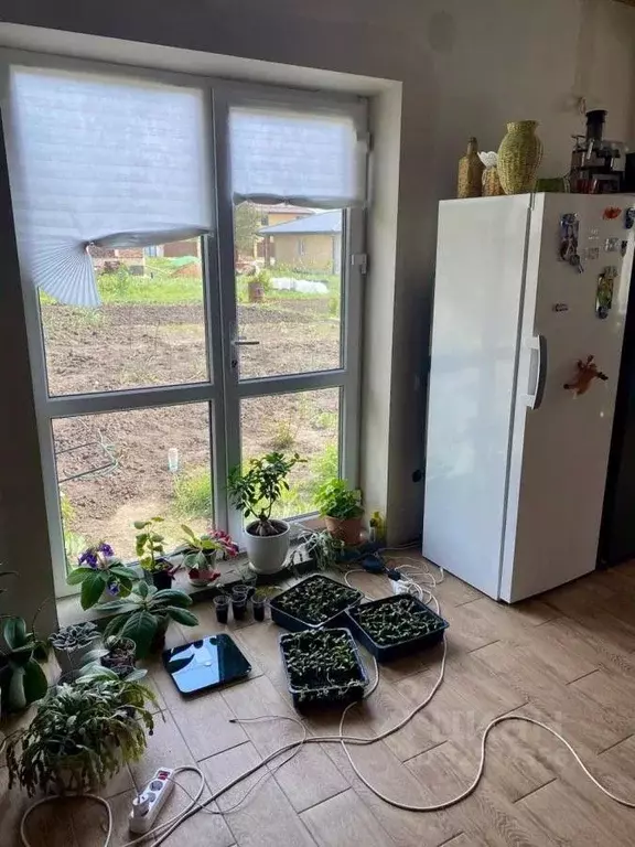 Дом в Воронежская область, Новоусманский район, с. Бабяково Сиреневая ... - Фото 2