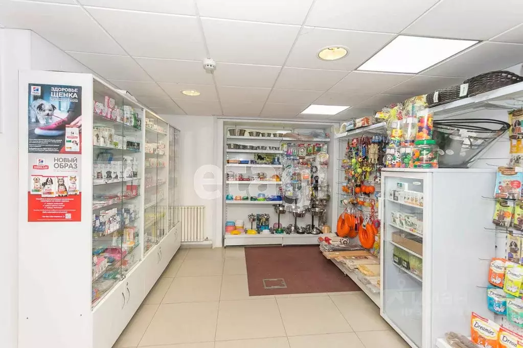 Офис в Челябинская область, Миасс просп. Октября, 36 (128 м) - Фото 1