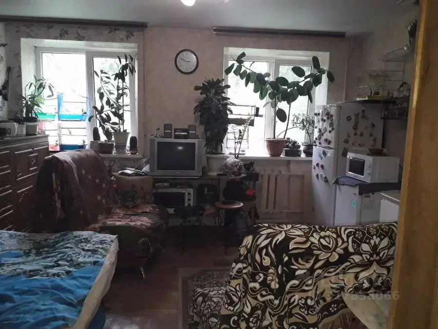 1-к кв. Воронежская область, Воронеж ул. Чебышева, 10 (23.4 м) - Фото 1