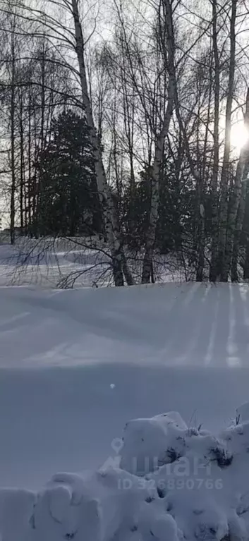 Участок в Московская область, Орехово-Зуевский городской округ, д. ... - Фото 1