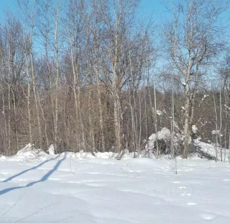 Участок в Московская область, Дмитровский муниципальный округ, д. ... - Фото 1