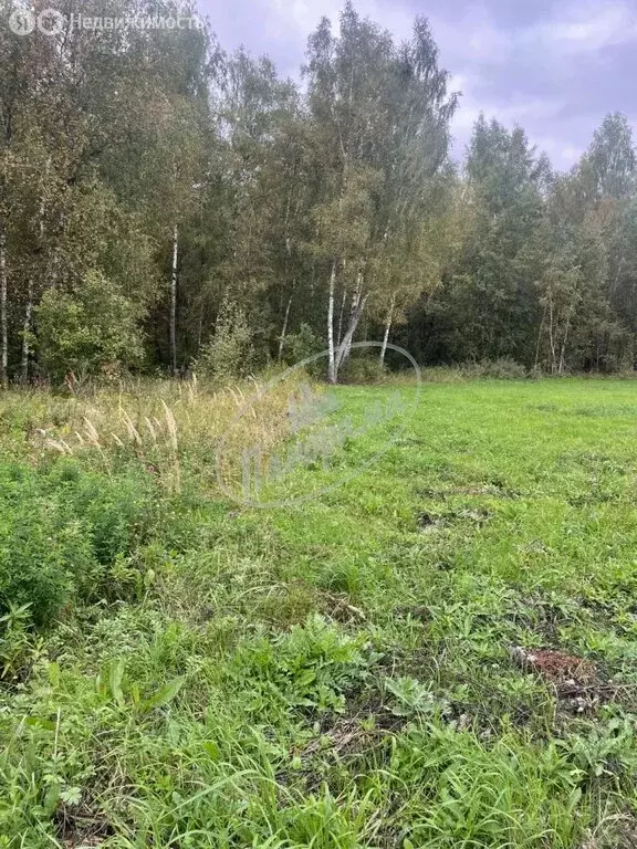 Участок в Воскресенское, Лесная улица (7.3 м) - Фото 1