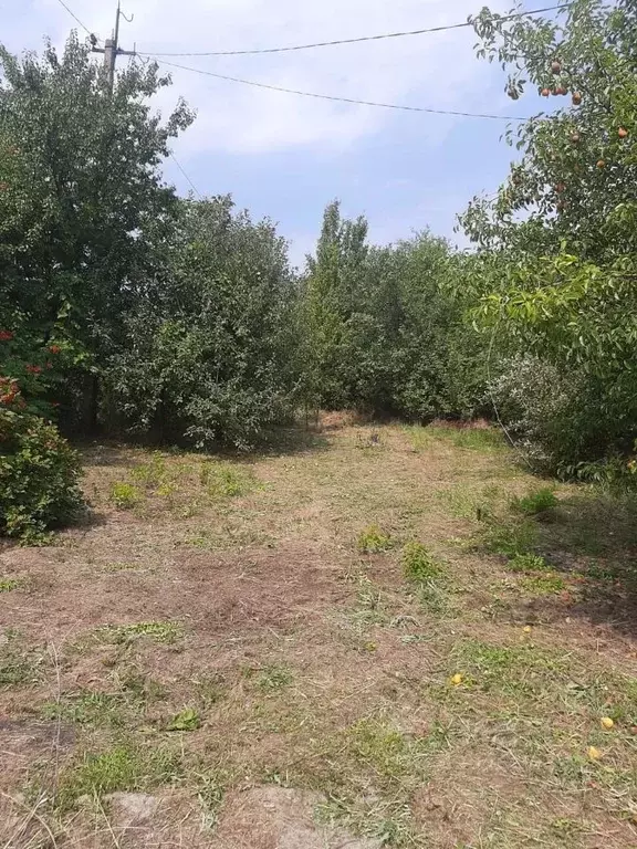 Дом в Ростовская область, Волгодонск Волгодонской Садовод СНТ, 1А (25 ... - Фото 1