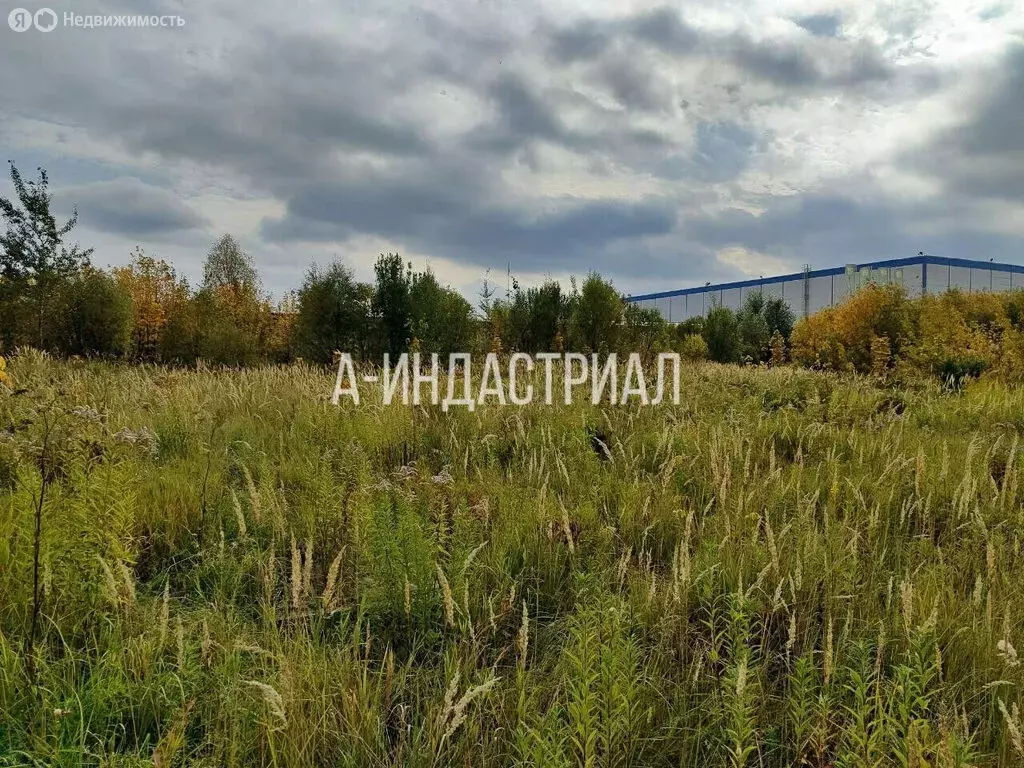 Участок в село Ям, Каширское шоссе (131 м) - Фото 1