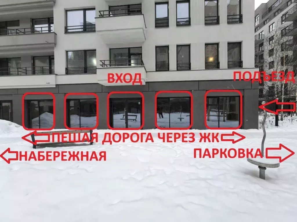 Помещение свободного назначения в Новосибирская область, Новосибирск ... - Фото 2