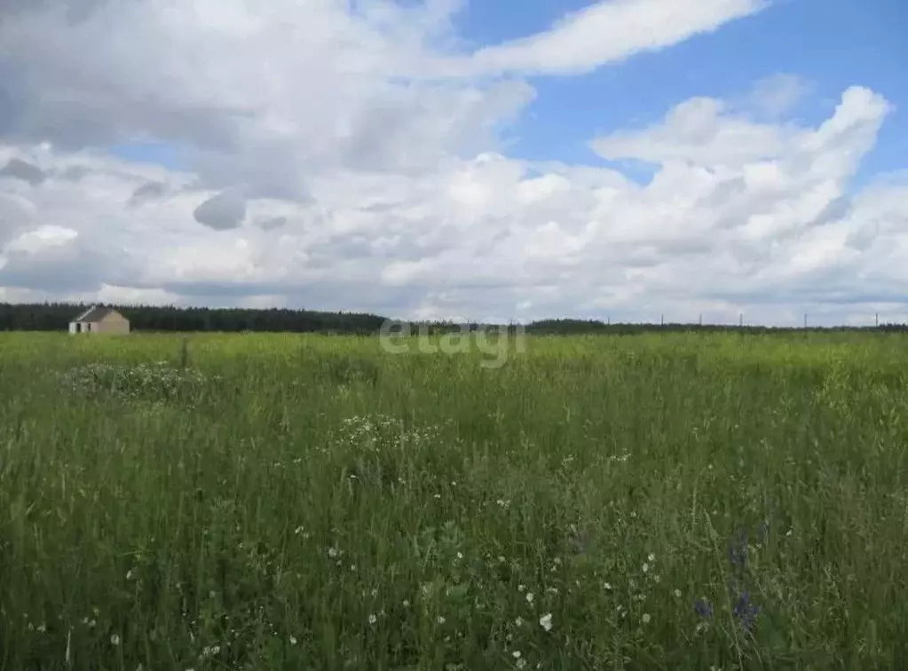 Участок, 14.6 сот., поселения (ижс) - Фото 0