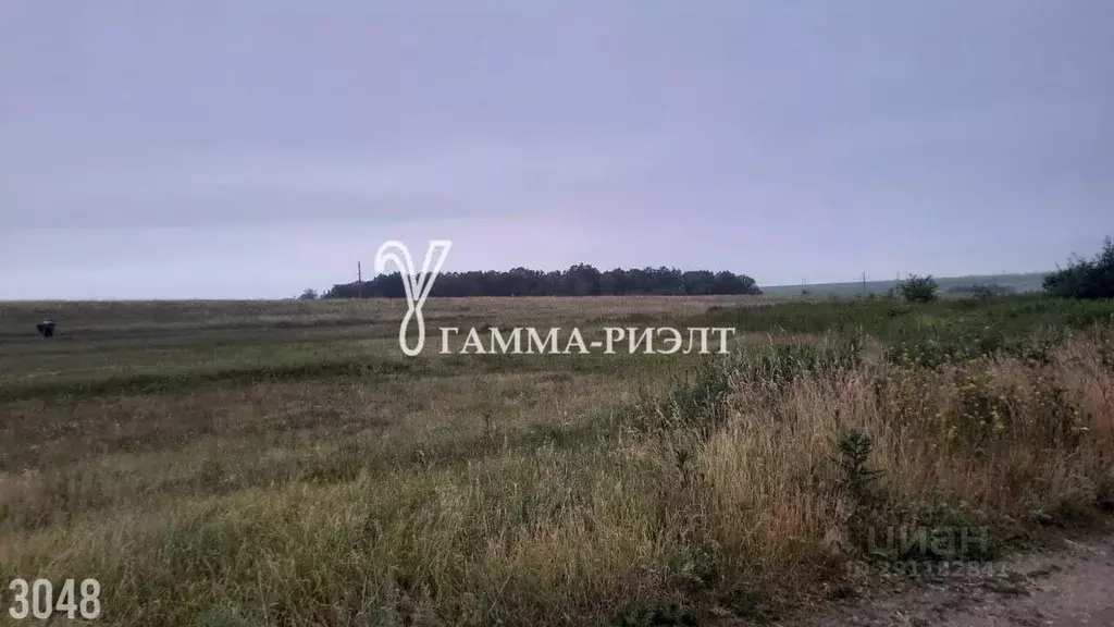 Участок в Саратовская область, Красный Октябрь рп ул. Полевая, 1 (10.0 ... - Фото 1