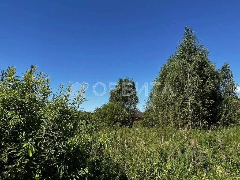 Участок в Тюменская область, Тюмень Поляна садовое общество, ул. ... - Фото 1