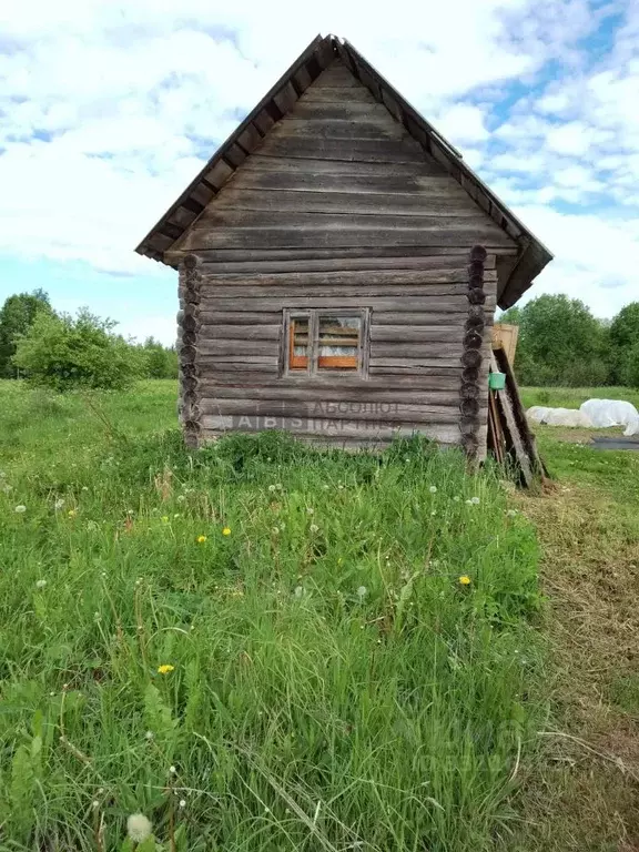Участок в Новгородская область, Батецкий муниципальный округ, д. Витцы ... - Фото 1
