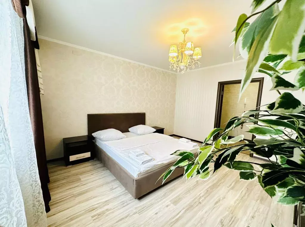 1-к кв. Брянская область, Брянск Красноармейская ул., 100 (45.0 м) - Фото 1