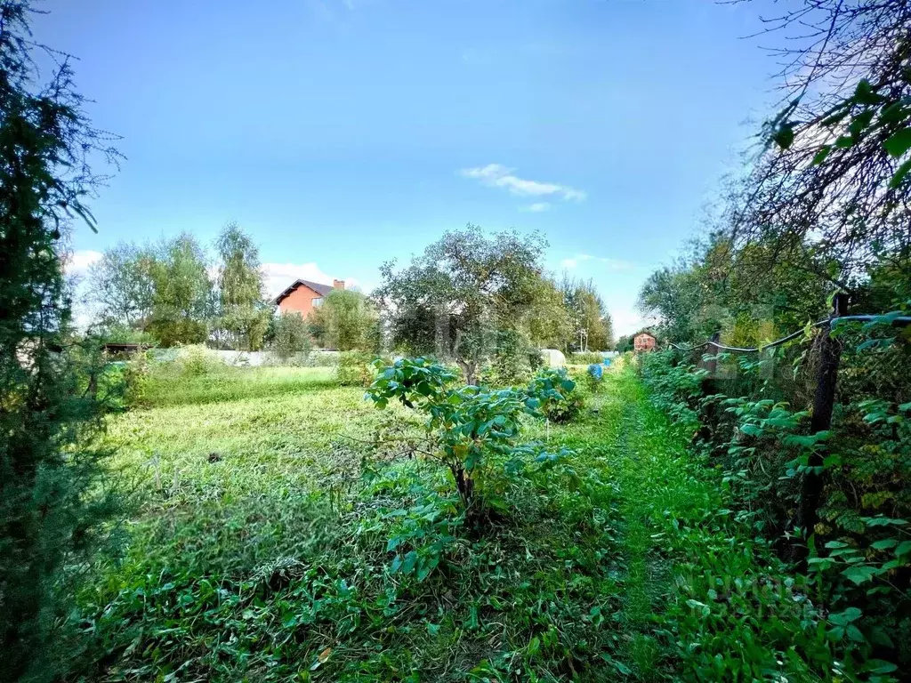 Участок в Московская область, Щелково городской округ, д. Медвежьи ... - Фото 0