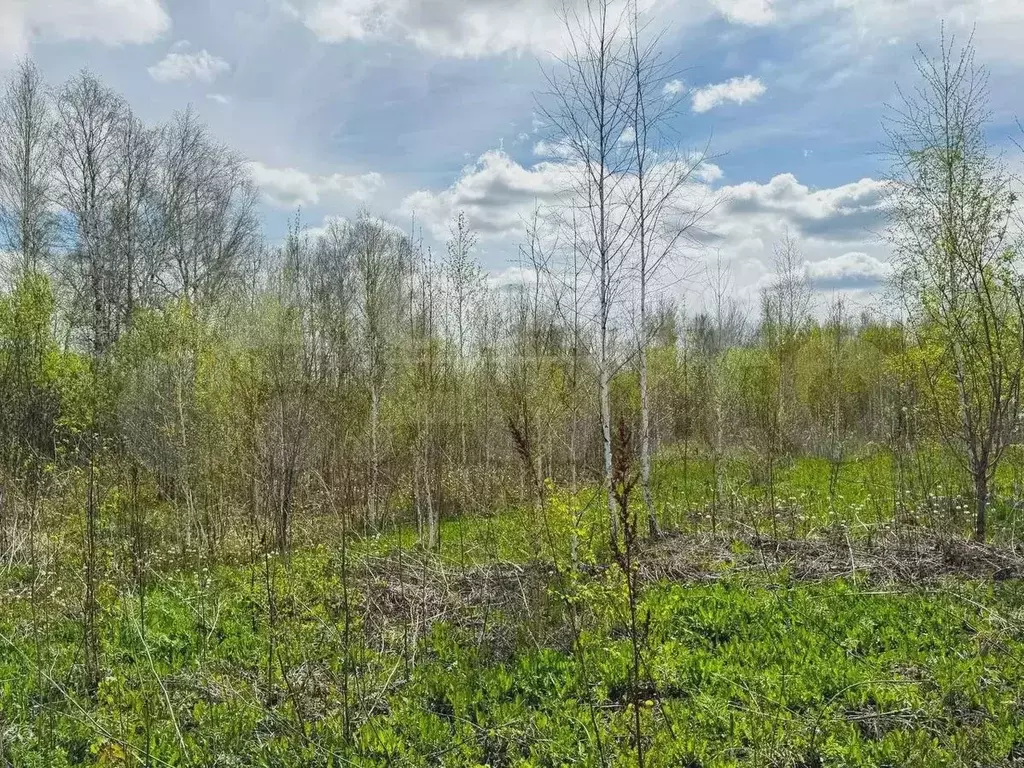 Участок 8,5 сот. (ИЖС) - Фото 1