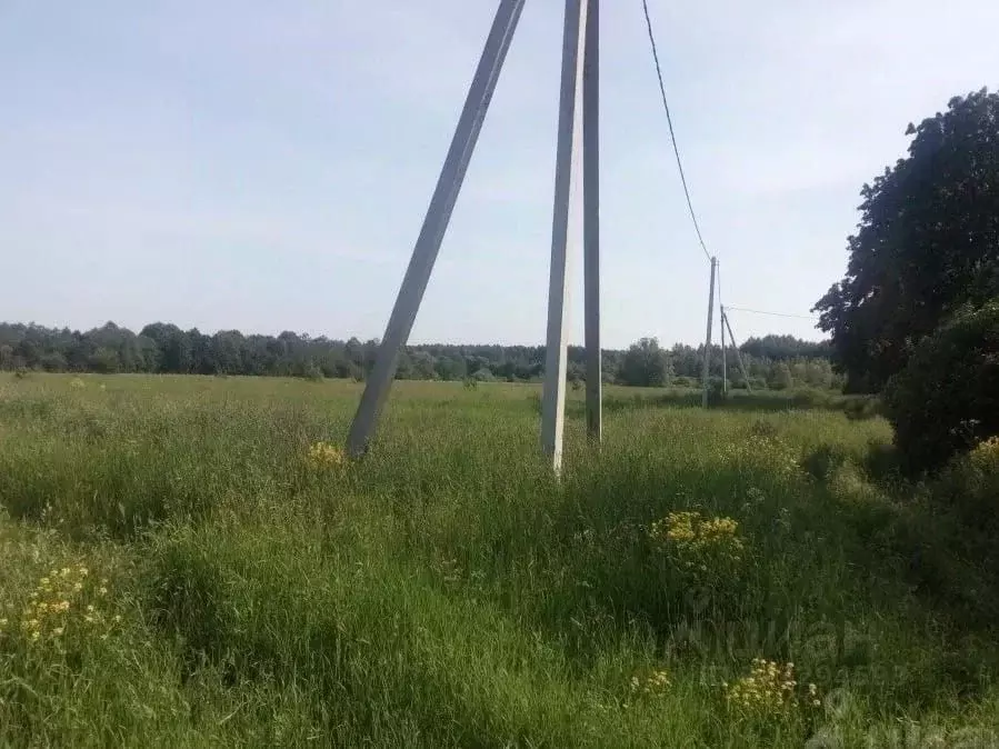 Участок в Тверская область, Калининский муниципальный округ, д. ... - Фото 1