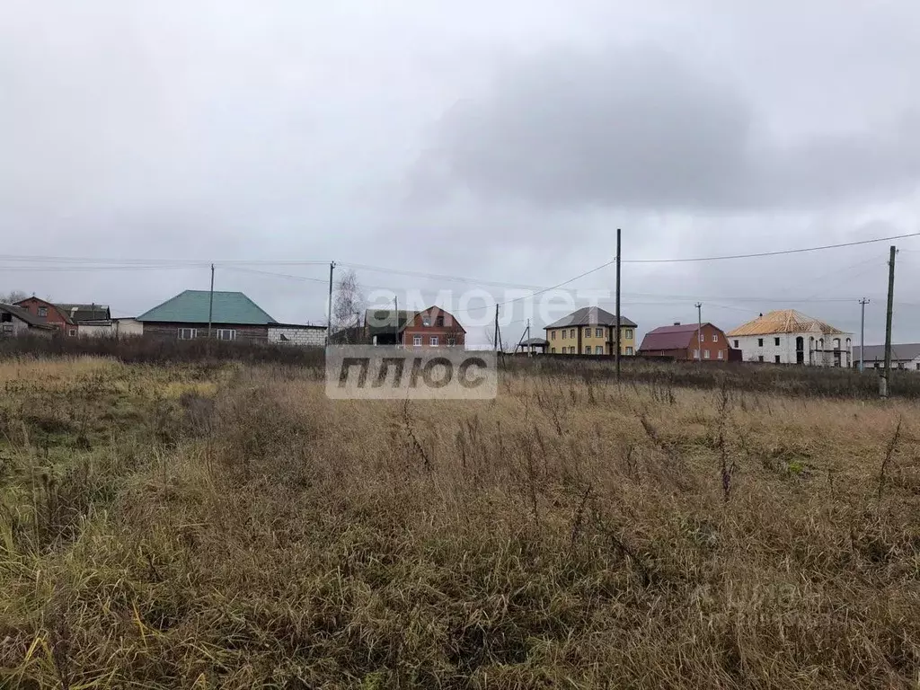 Участок в Московская область, Коломна городской округ, с. Пирочи ул. ... - Фото 0