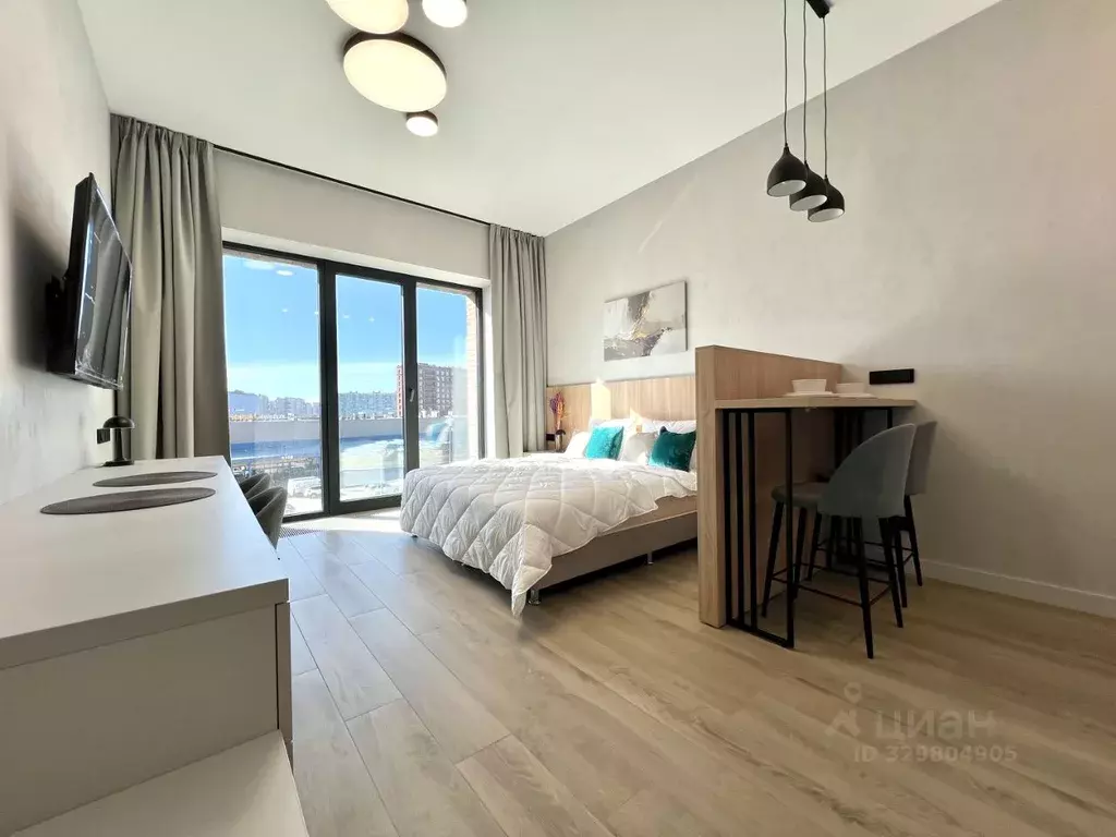 Студия Санкт-Петербург наб. Макарова, 58 (32.0 м) - Фото 2