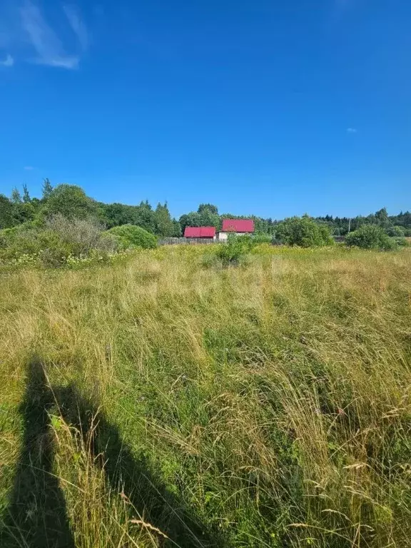 Участок в Псковская область, Струги Красные рп  (15.0 сот.) - Фото 1