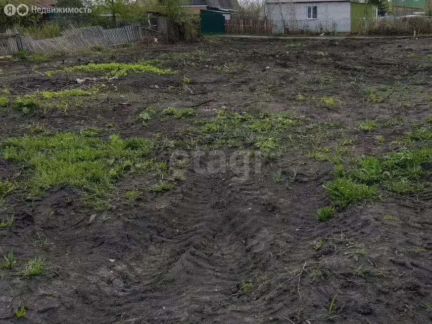 Участок в Омск, территория СОСН Энергия (5.65 м) - Фото 1