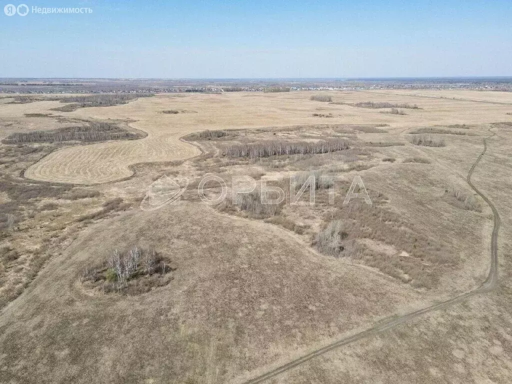 Участок в Тюменский муниципальный округ, село Червишево (600 м) - Фото 1