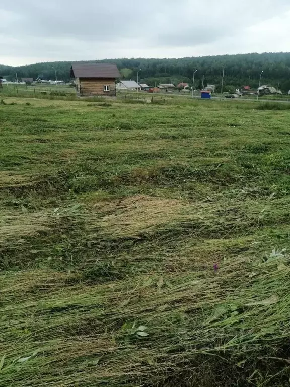 Участок в Красноярский край, Емельяновский район, с. Шуваево  (14.0 ... - Фото 1