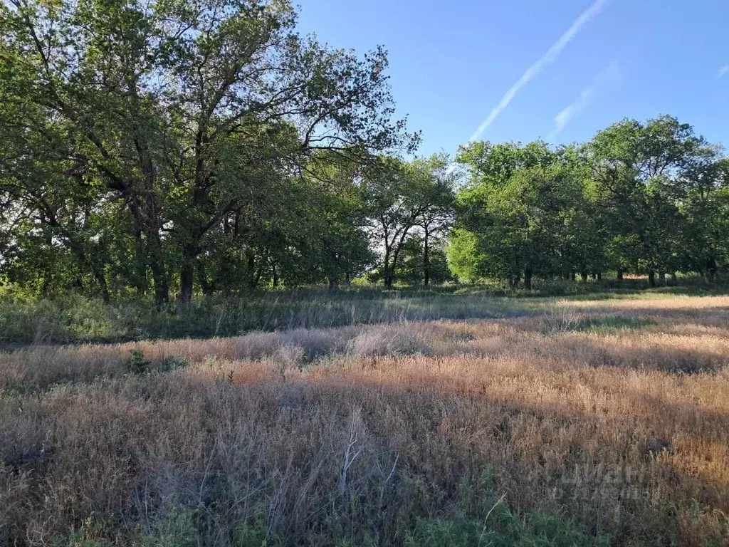 Участок в Волгоградская область, Среднеахтубинский район, Фрунзенское ... - Фото 2