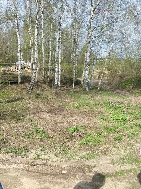 Участок в Брянская область, Брянск ул. Олега Кошевого (10.0 сот.) - Фото 1