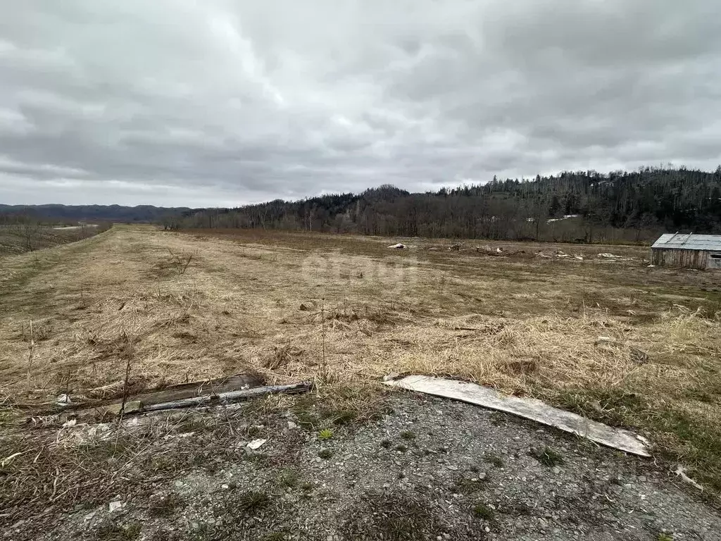 Участок в Сахалинская область, Анивский городской округ, с. Огоньки  ... - Фото 1