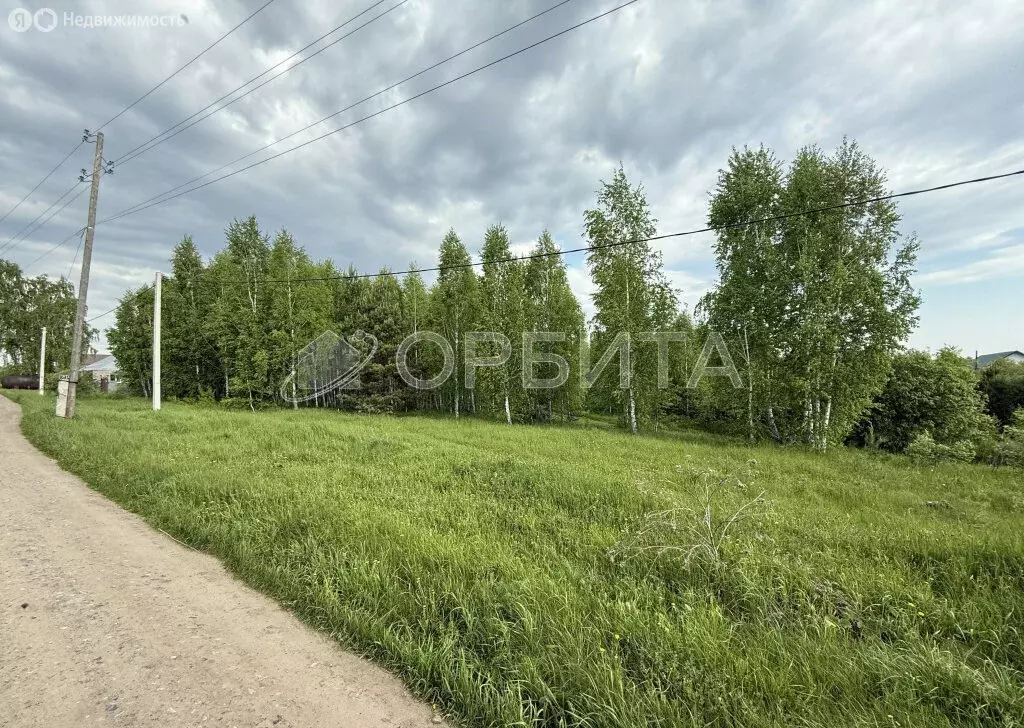 Участок в Тюменский район, деревня Головина (6.5 м) - Фото 1