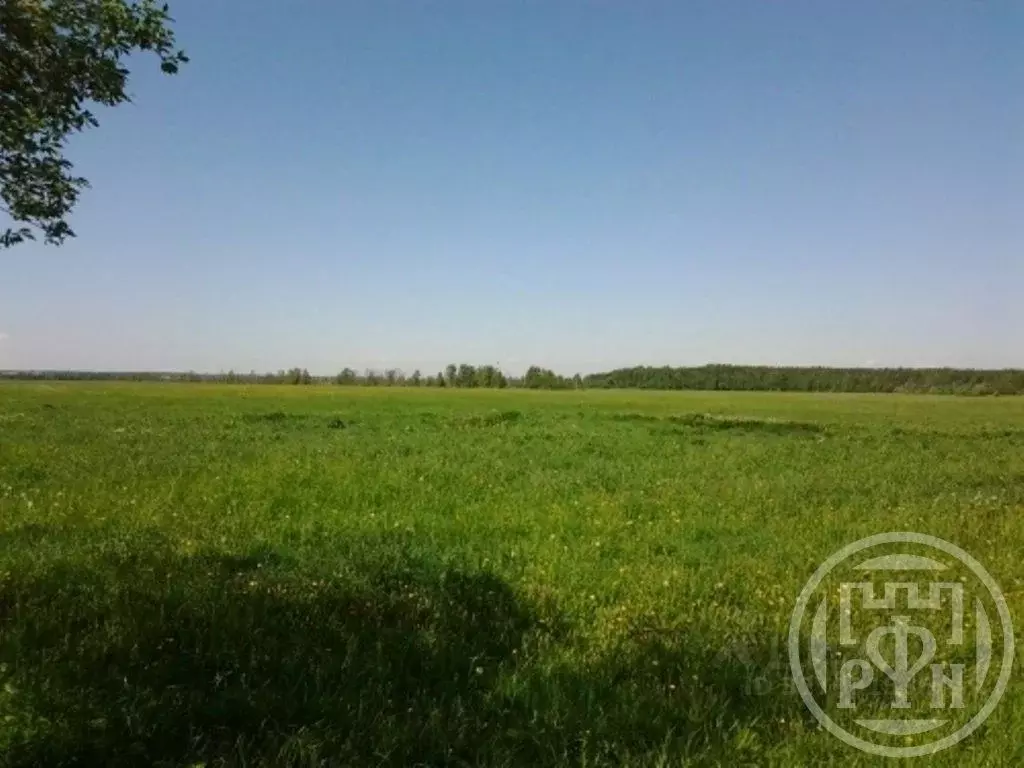 Участок в Ленинградская область, Кировский район, Путиловское с/пос, ... - Фото 1