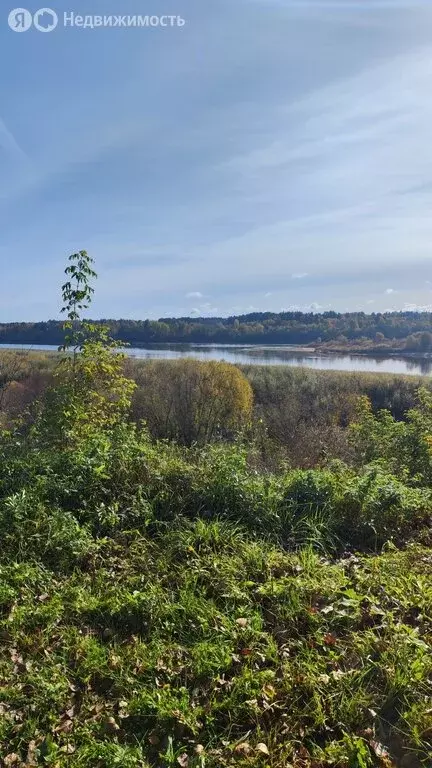 Дом в Кировская область, муниципальное образование Слободской, село ... - Фото 1