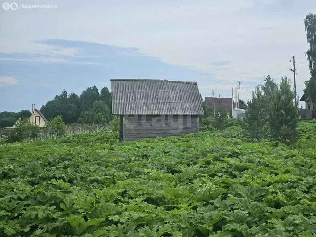 Дом в Архангельская область, Котласский муниципальный округ, деревня ... - Фото 2