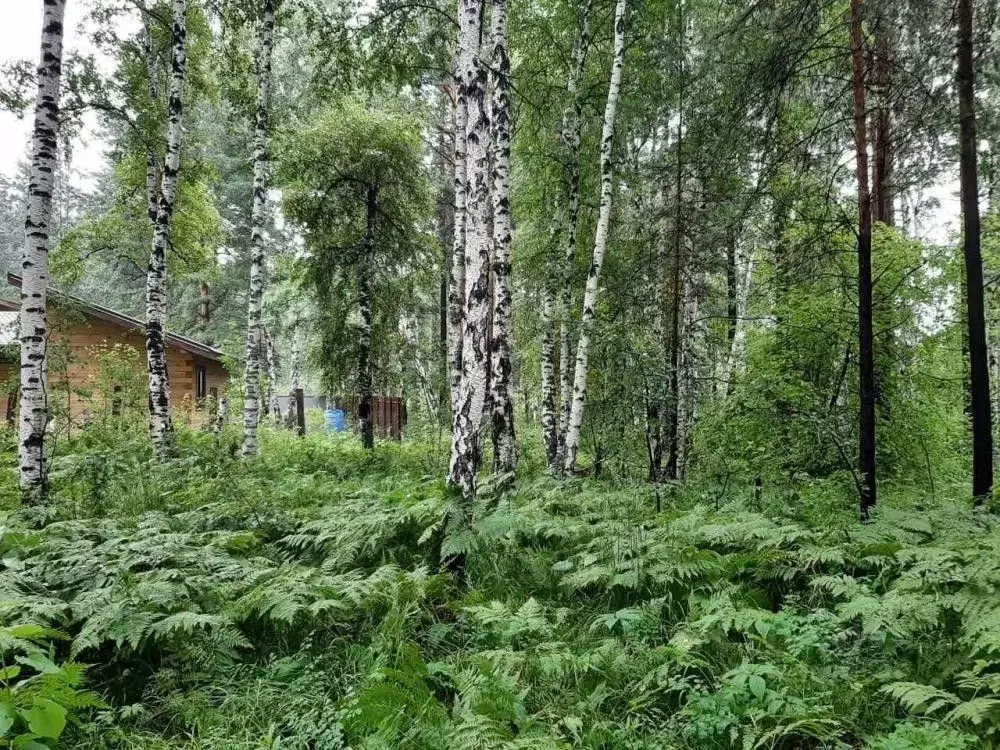 Участок в Иркутская область, Иркутский муниципальный округ, Пчелка СНТ ... - Фото 1