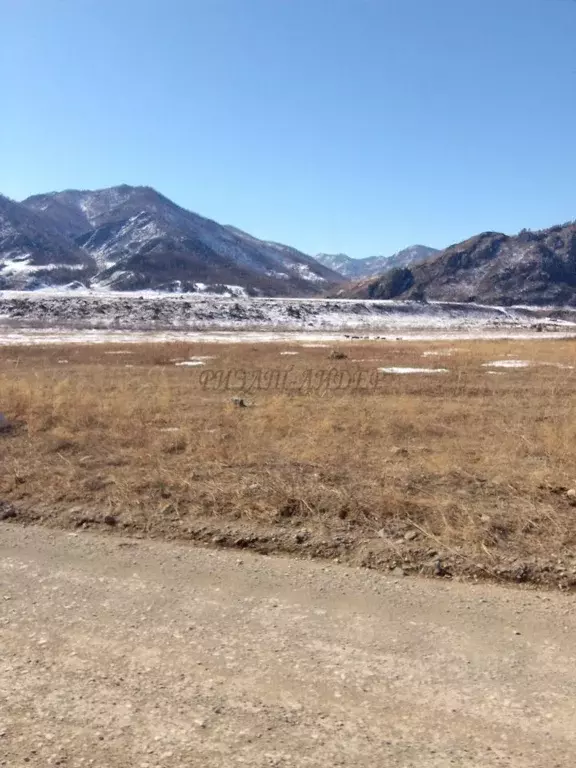 Участок в Алтай, Чемальский район, с. Куюс Центральная ул. (12.0 сот.) - Фото 2