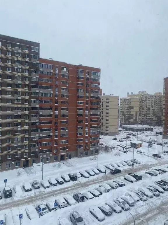 2-к кв. Московская область, Пушкино ул. Просвещения, 12к1 (50.0 м) - Фото 1