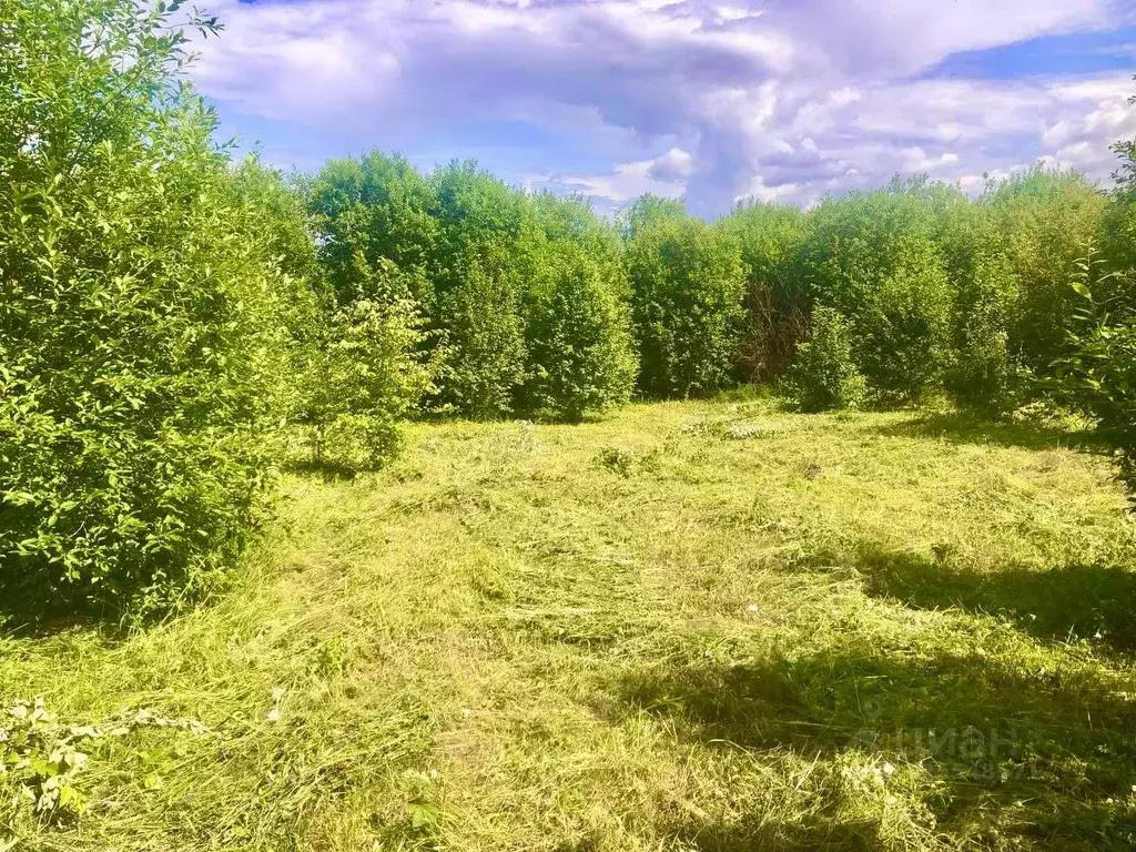 Участок в Пермский край, Лысьва ул. Халтурина (13.0 сот.) - Фото 1