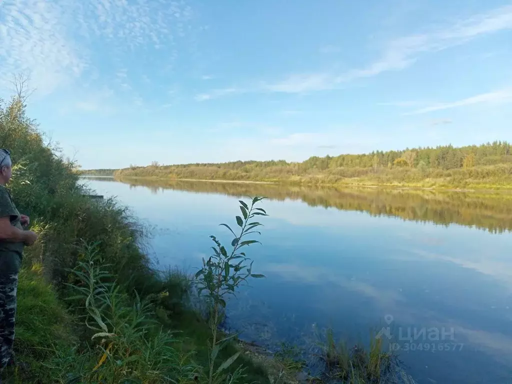 Участок в Нижегородская область, Бор  (19.0 сот.) - Фото 0