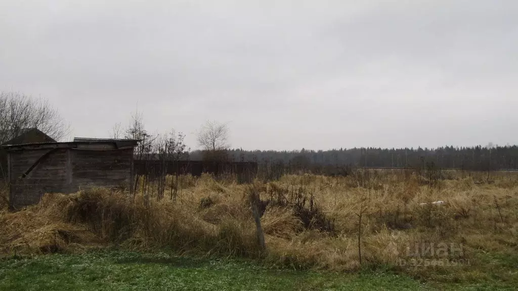 Участок в Московская область, Рузский муниципальный округ, д. Лидино  ... - Фото 1