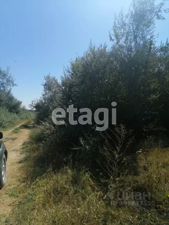 Участок в Калининградская область, Калининград Весна СНТ, проезд ... - Фото 2