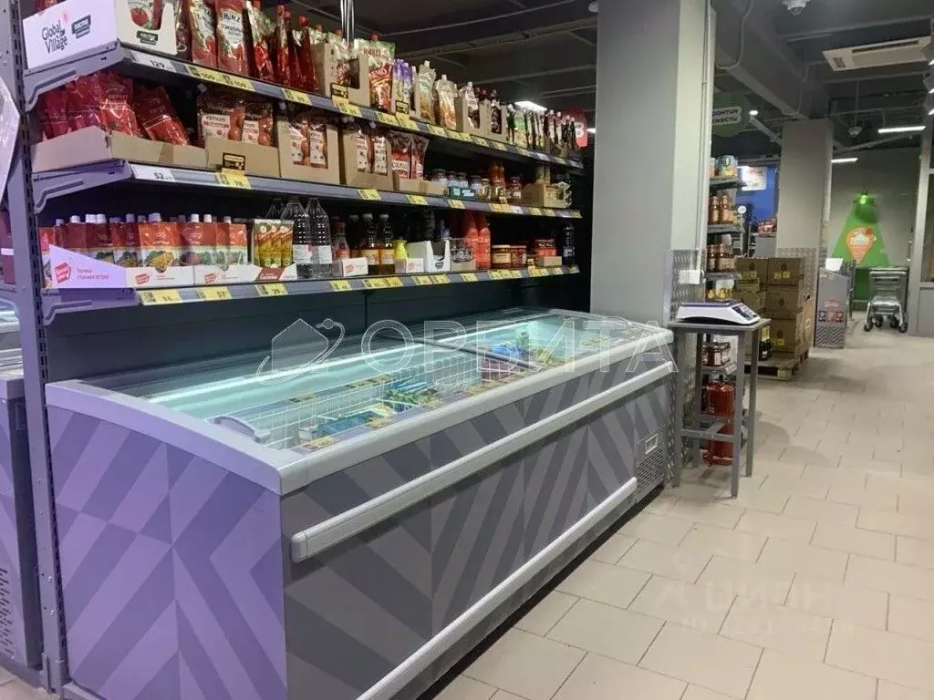 Торговая площадь в Тюменская область, Ярковский муниципальный округ, ... - Фото 2