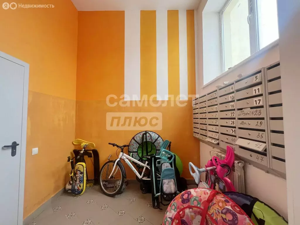 Квартира-студия: село Зубово, улица Бориса Перина, 2 (28 м) - Фото 1