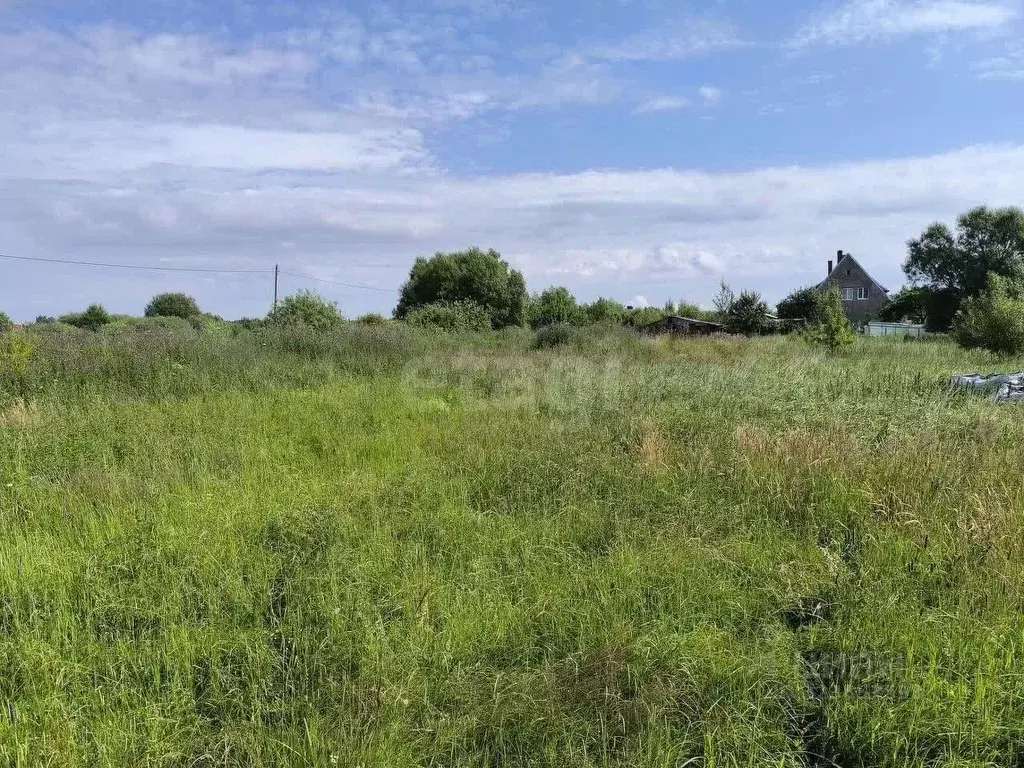 Участок в Калининградская область, Багратионовский муниципальный ... - Фото 2